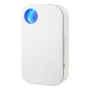 Ion Pure And Love